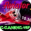 xcxc - Gaming VIP